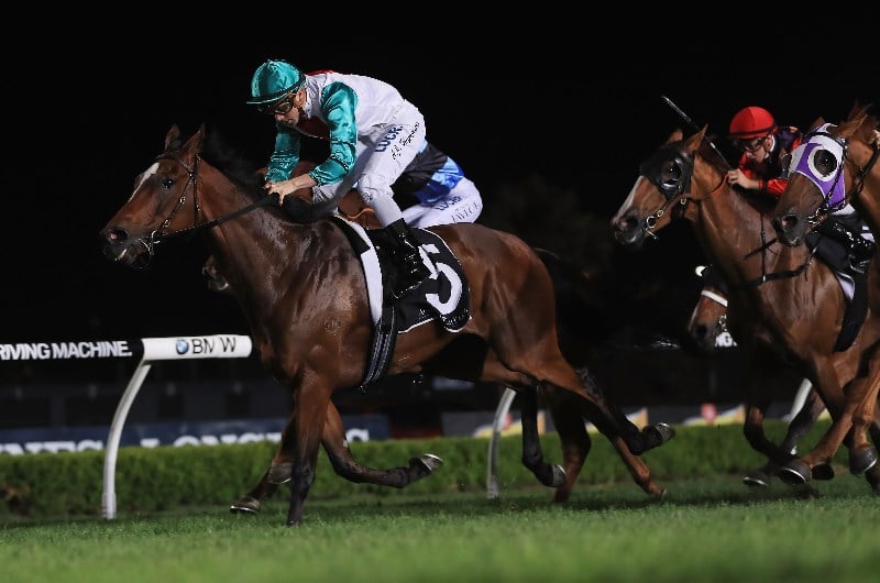 Canterbury Racing Tips For 29.11.2019 Does Asharani fly again fresh?