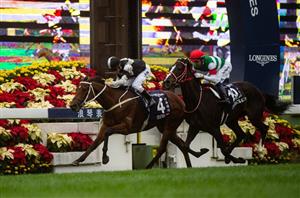2019 Hong Kong Vase Racing Tips