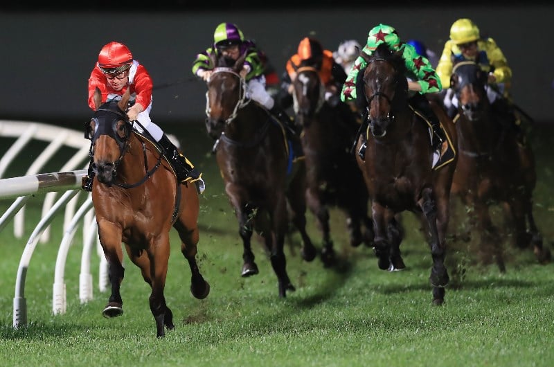 Canterbury Racing Tips For 03.01.2020 Is he firing on All Cylinders?