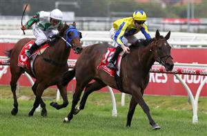 Racing Review from 04.01.2020