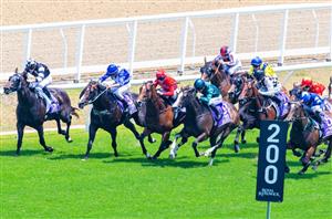 Randwick Blackbook Runners from 04.01.2020