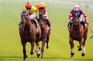 randwick
