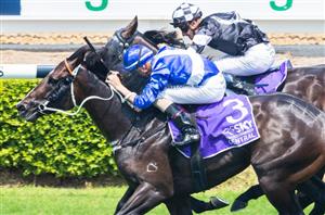 What is a Quinella? – How to place a Quinella bet