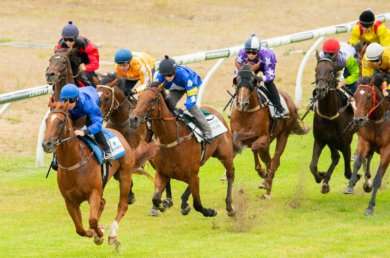 horse racing