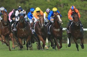Warwick Farm Blackbookers from 08.01.2020