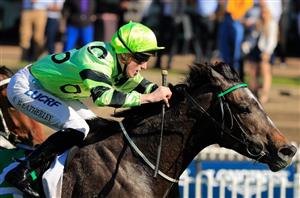 Randwick Blackbookers from 11.01.2020