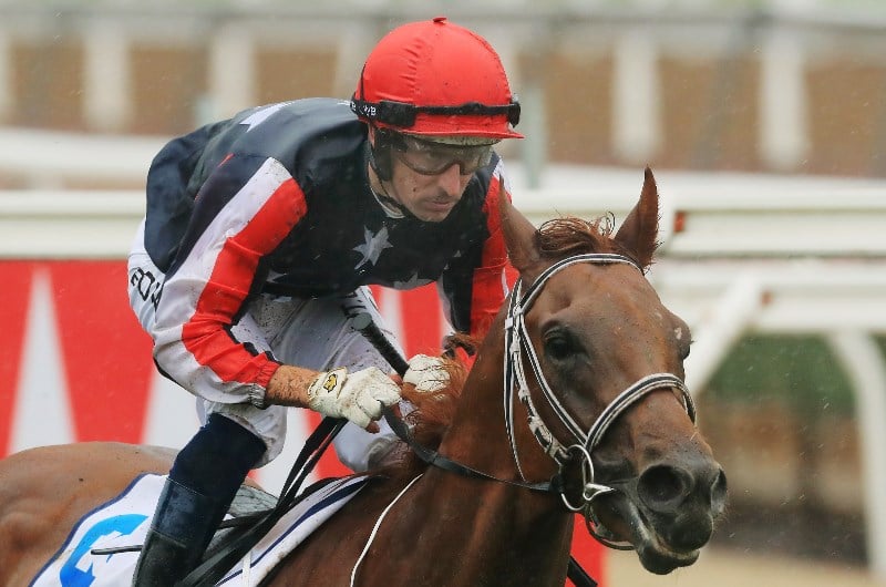 Dalasan to begin his campaign at Caulfield