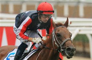 Dalasan to begin his campaign at Caulfield - Can the 3YO claim a G1?