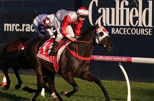 Futurity an option for Mystic Journey return - Can the mare claim her second G1?
