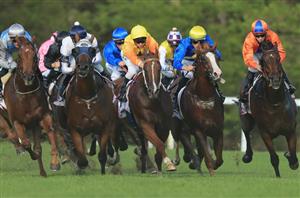 Warwick Farm Blackbookers from 15.01.2020