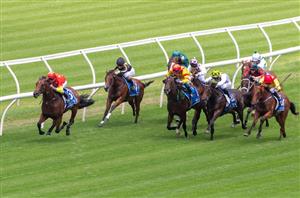 Randwick Blackbookers from 25.01.2020