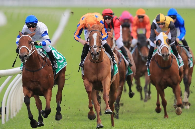 Randwick Feb 1 for freetips.com