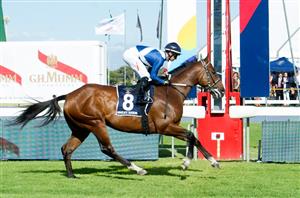 2020 Sun Met Race Preview - Hawwaam to say goodbye in style