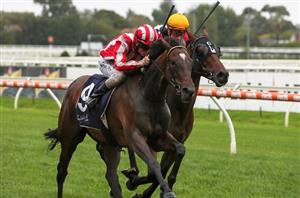 Racing Review from 01.01.2020