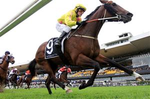 Randwick Blackbookers from 01.02.2020
