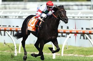 Racing Review from 08.02.2020