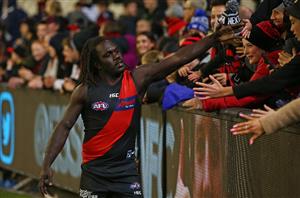 Which AFL team has the largest fan base?