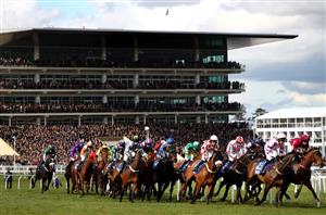 cheltenham stand