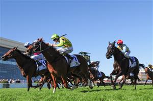 What Outsiders have won the Oakleigh Plate?
