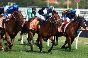 Horse Racing