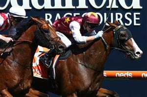 Racing Review From Saturday February 22 2020
