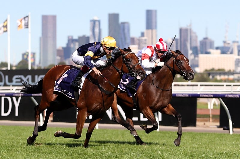 Horses For The Blackbook From Australian Guineas Day 2020