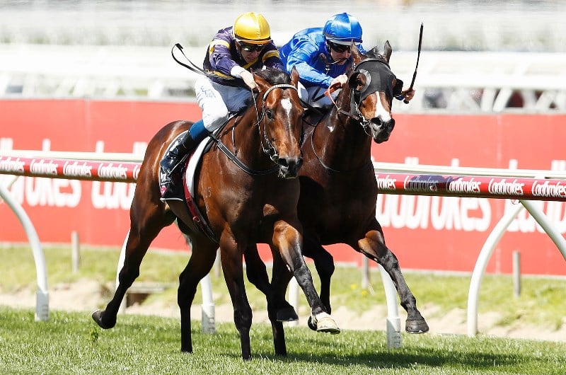 Best Bets for Wednesday March 4 2020