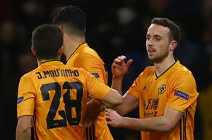 Wolves vs Brighton