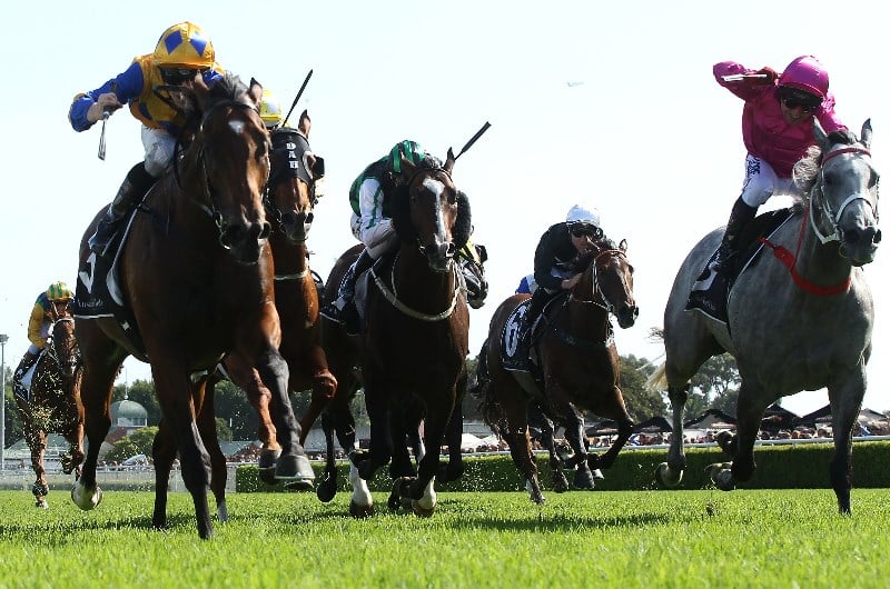 Randwick racing preview for 07.03.2020
