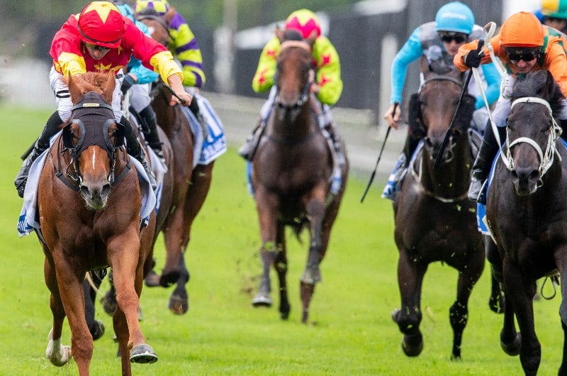 warwick farm horse racing