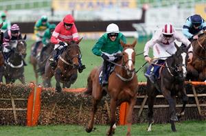 Coral Cup Tips 2020 - Eglantine Du Seuil best EW value