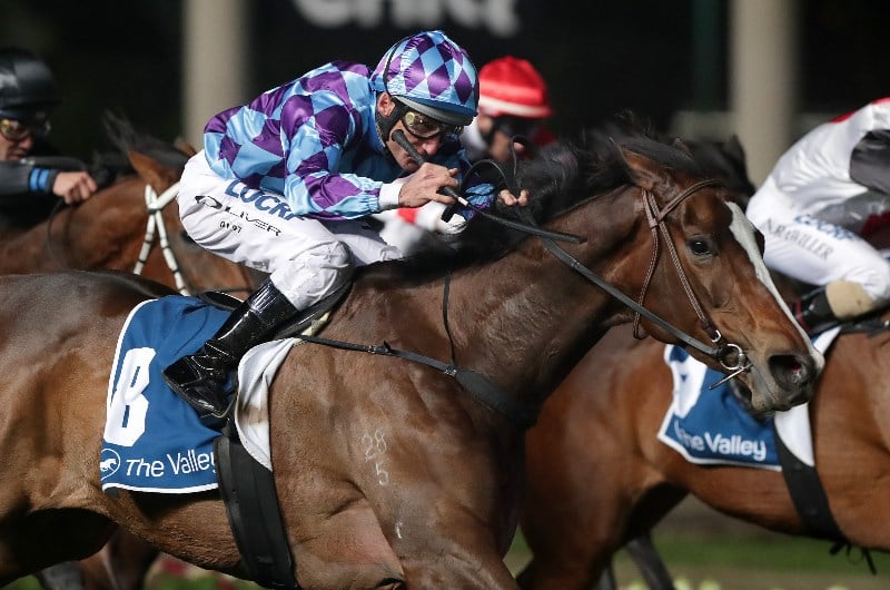 William Reid Stakes Night 2020 Tips - Horse Racing Tips & Selections