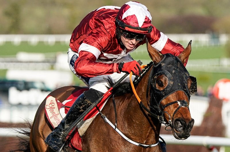 Horse racing news - Tiger Roll set for 2021 Grand National?