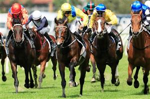 Sydney Cup 2020 Betting Odds