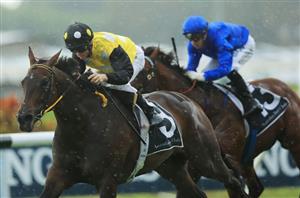 Hawkesbury Crown 2020 Barrier Draw & Final Field
