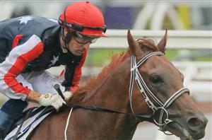 2020 SA Derby Betting Odds