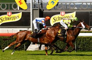 Robert Sangster Stakes Day Tips & Full Card Preview
