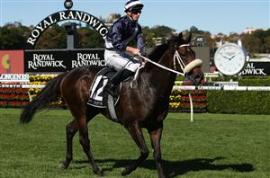 kinane to miss SA Derby - news