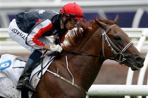 sa derby barriers & final field