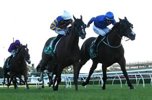 Horse Racing