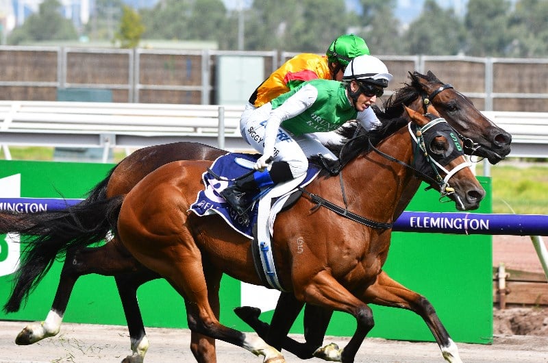 The Goodwood Betting Tips - Horse Racing Tips & Selections