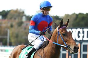 Big Bets Results from 09.05.2020
