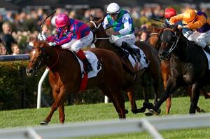 Bookmaker Betting Promotions For Goodwood Day