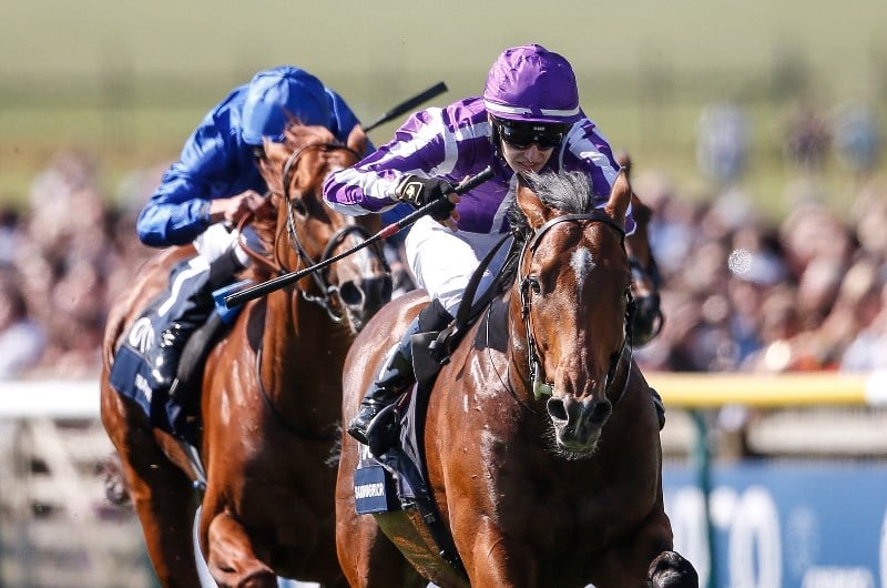 2000 Guineas Live Stream How To Watch The Newmarket Race Live Online