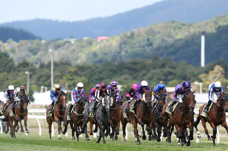Nz Thoroughbred Racing New Zealand Racing Set For June 20 Return - Thoroughbred Racing to ...