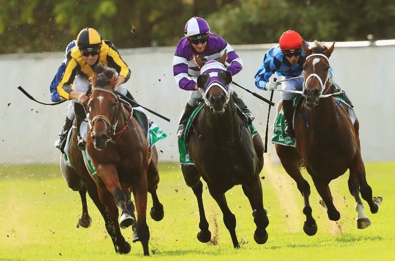 Canterbury Tips Horse Racing Tips for the Sydney June 10 2020 meeting