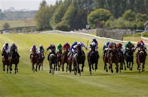 irish guineas curragh