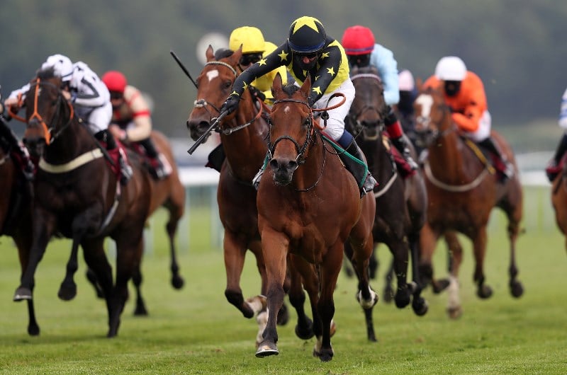 Horse Racing
