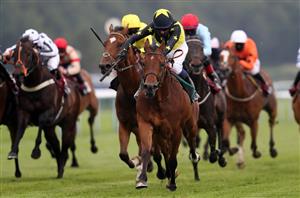 Horse Racing