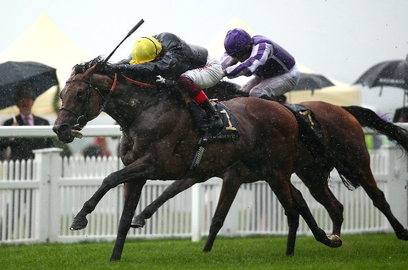 Prince of Wales's Stakes Live Stream How to watch the Royal Ascot